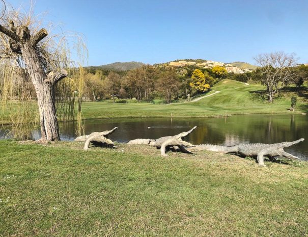 golf_barbossi-crocodiles