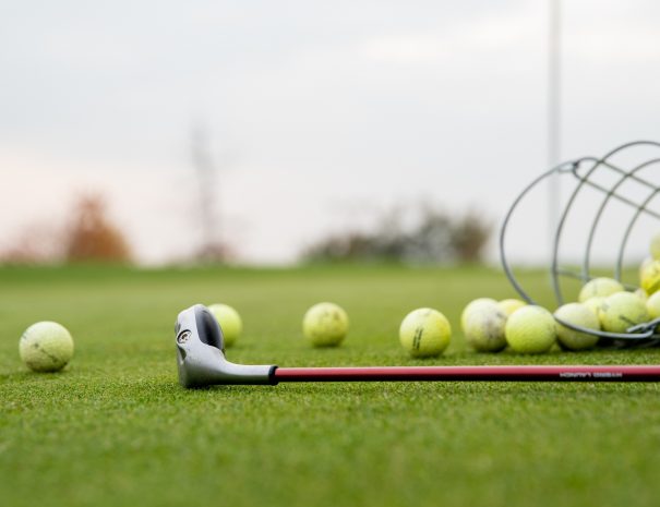 golf balls and sticks on green golf course.