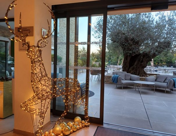 Bambi dans le lobby devant notre olivier