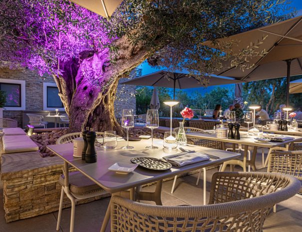 demi-pension terrasse