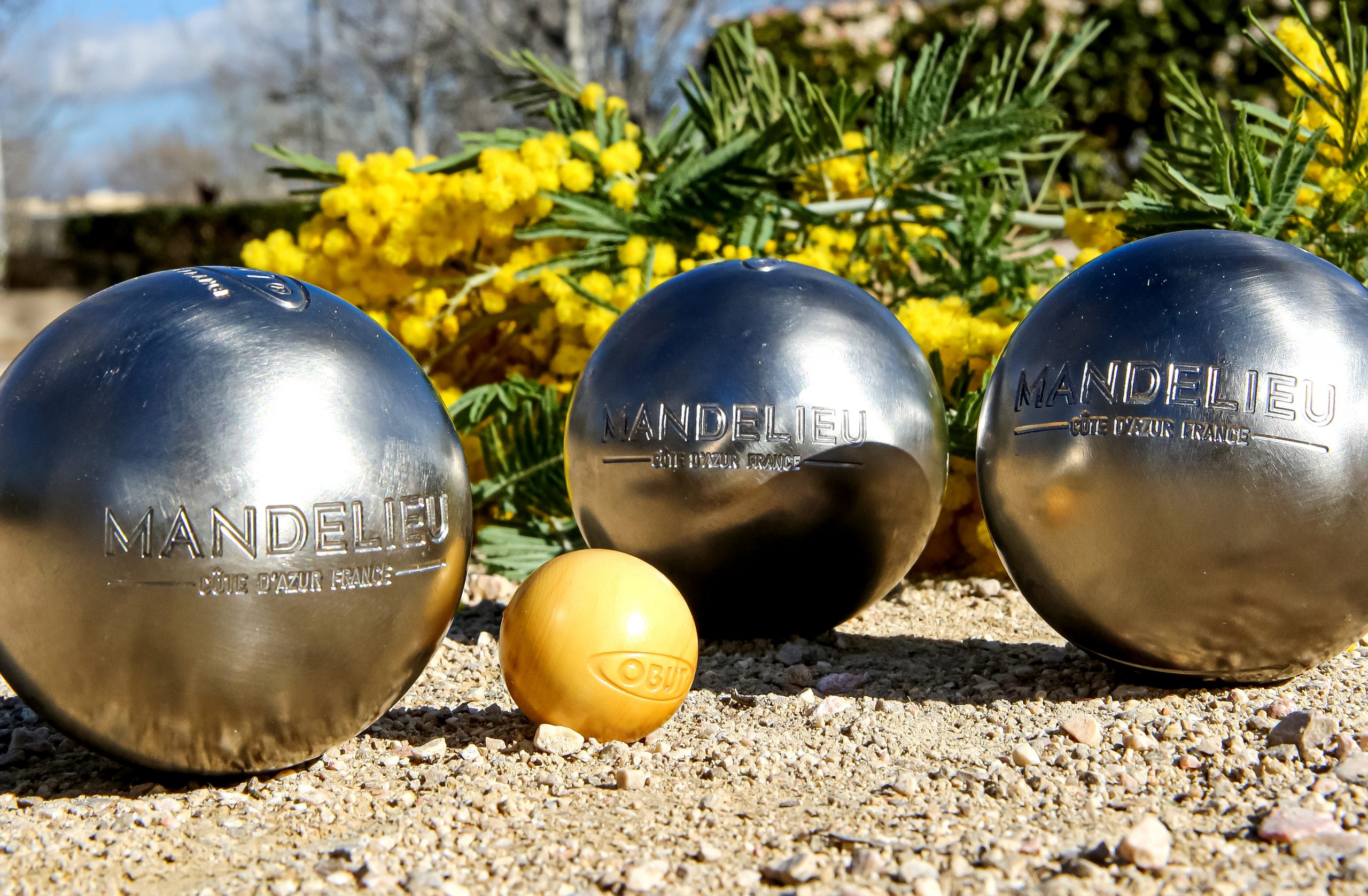 Mimosas Pétanque Mandelieu La Napoule