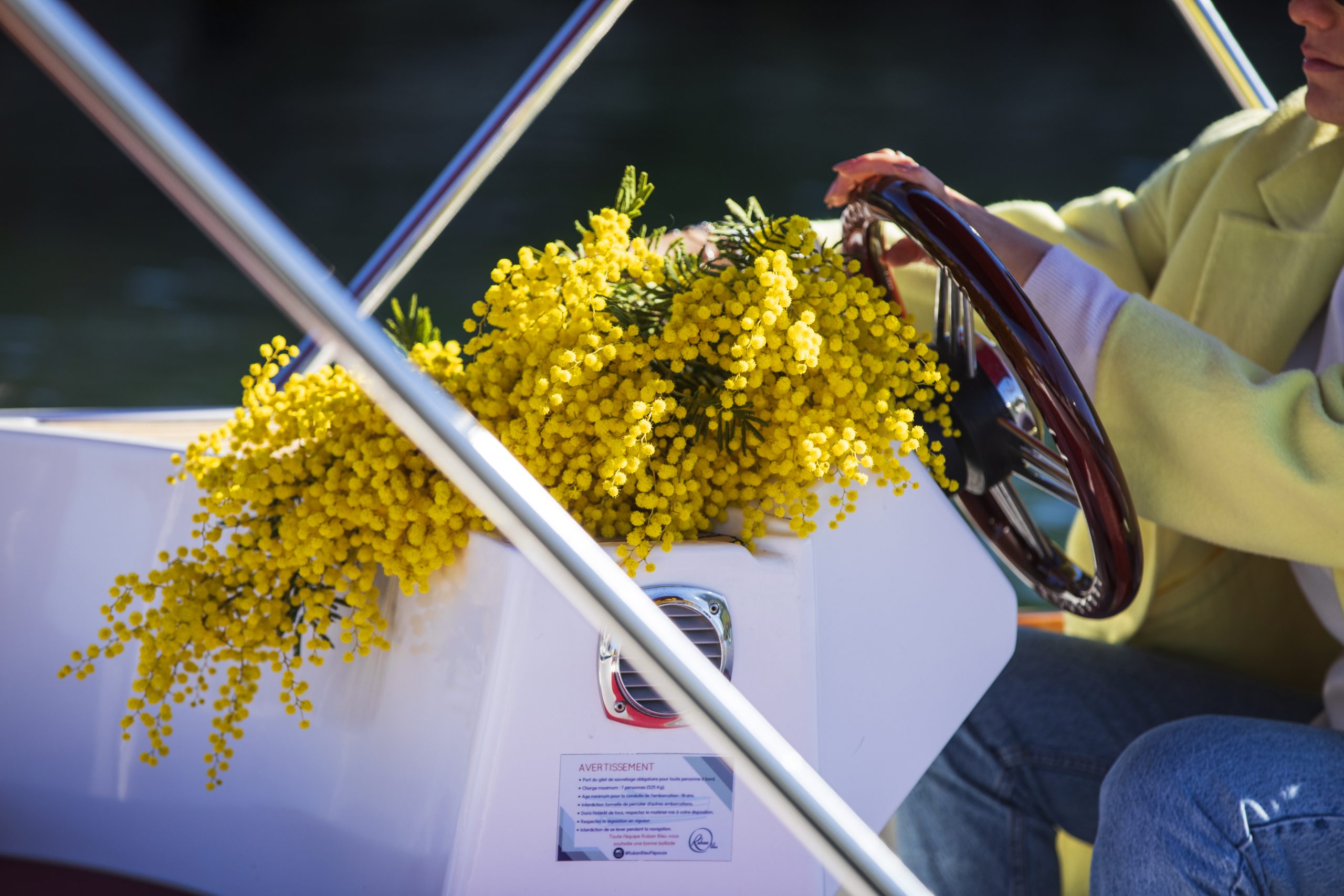France, Alpes Maritimes (06), Mandelieu La Napoule, bateau sur le fleuve La Siagne, bouquet de mimosas